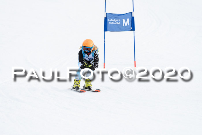 Sechzger Pokal der Skilöwen; U12 Rennserie VRS 11.01.2020
