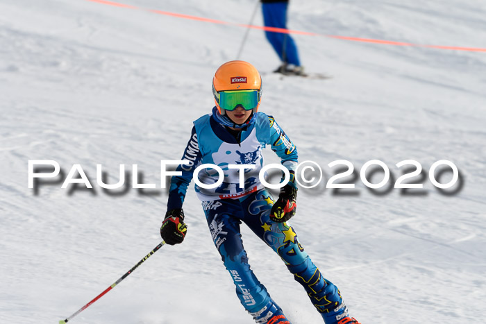 Sechzger Pokal der Skilöwen; U12 Rennserie VRS 11.01.2020