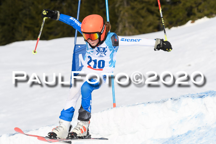 Sechzger Pokal der Skilöwen; U12 Rennserie VRS 11.01.2020
