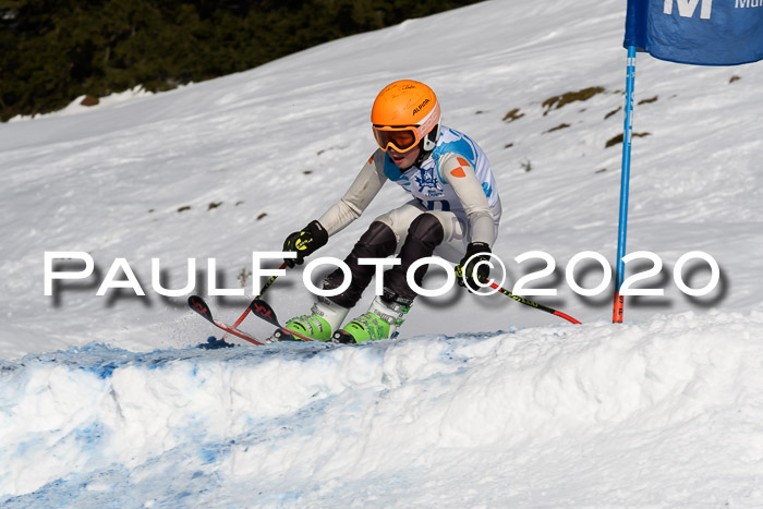 Sechzger Pokal der Skilöwen; U12 Rennserie VRS 11.01.2020
