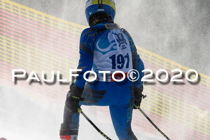 Sechzger Pokal der Skilöwen; U12 Rennserie VRS 11.01.2020