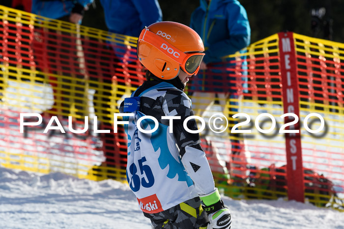 Sechzger Pokal der Skilöwen; U12 Rennserie VRS 11.01.2020