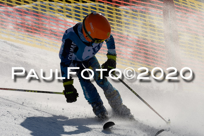 Sechzger Pokal der Skilöwen; U12 Rennserie VRS 11.01.2020