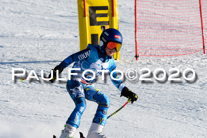 Sechzger Pokal der Skilöwen; U12 Rennserie VRS 11.01.2020