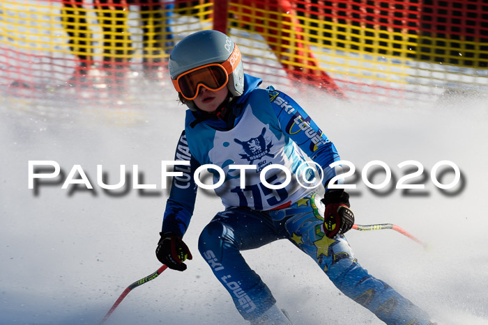 Sechzger Pokal der Skilöwen; U12 Rennserie VRS 11.01.2020