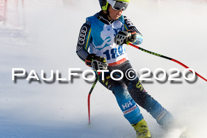 Sechzger Pokal der Skilöwen; U12 Rennserie VRS 11.01.2020