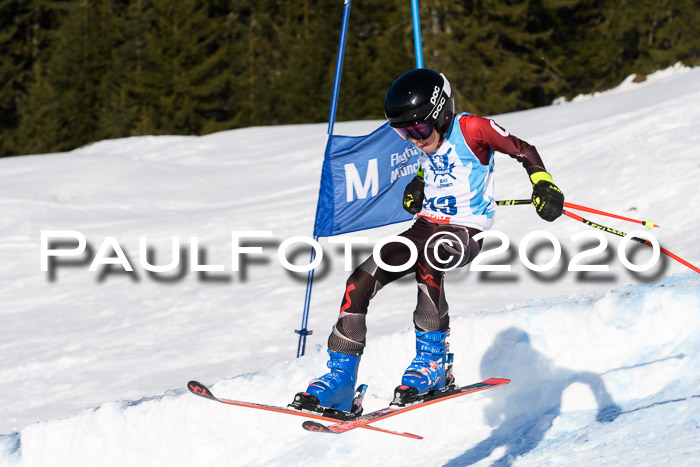 Sechzger Pokal der Skilöwen; U12 Rennserie VRS 11.01.2020