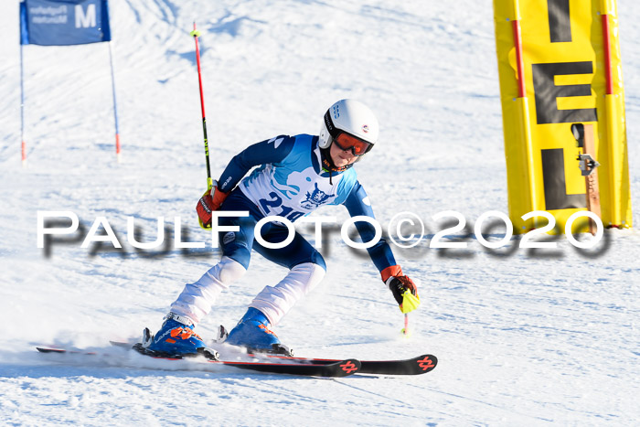 Sechzger Pokal der Skilöwen; U12 Rennserie VRS 11.01.2020