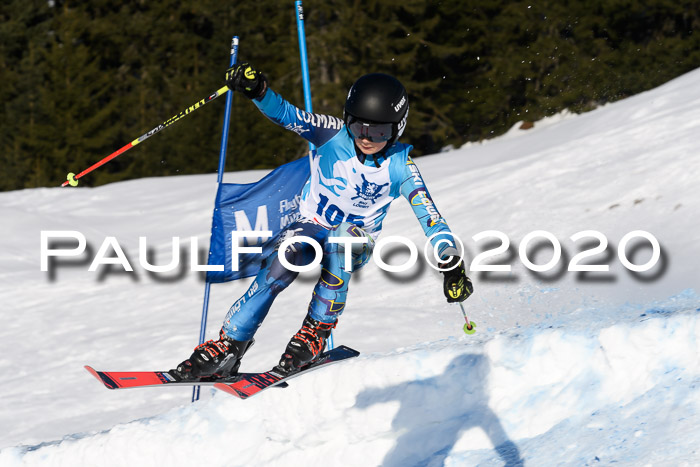 Sechzger Pokal der Skilöwen; U12 Rennserie VRS 11.01.2020
