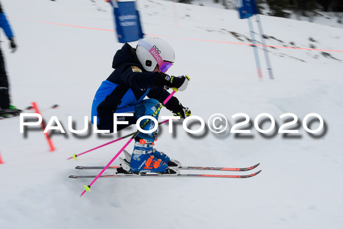 Sechzger Pokal der Skilöwen; U8/U10 Rennserie VRS 11.01.2020