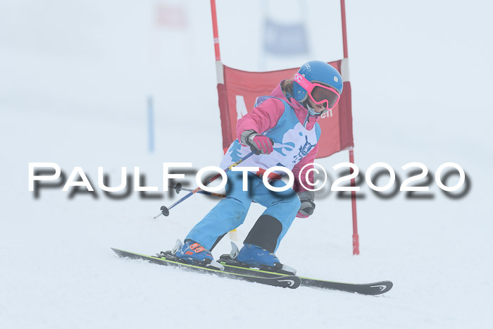 Sechzger Pokal der Skilöwen; U8/U10 Rennserie VRS 11.01.2020