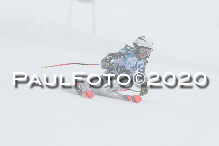 Sechzger Pokal der Skilöwen; U8/U10 Rennserie VRS 11.01.2020