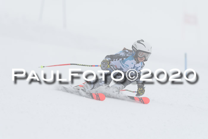Sechzger Pokal der Skilöwen; U8/U10 Rennserie VRS 11.01.2020