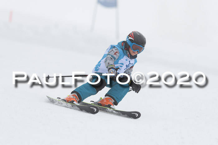 Sechzger Pokal der Skilöwen; U8/U10 Rennserie VRS 11.01.2020