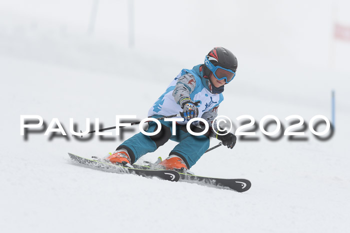Sechzger Pokal der Skilöwen; U8/U10 Rennserie VRS 11.01.2020