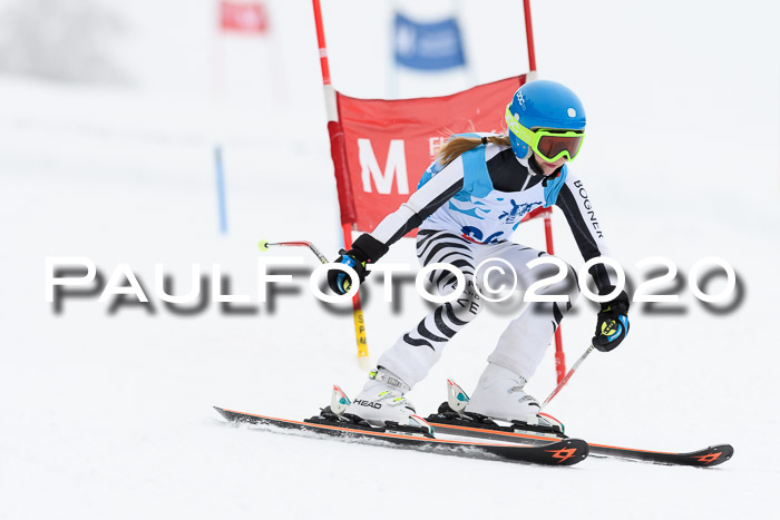 Sechzger Pokal der Skilöwen; U8/U10 Rennserie VRS 11.01.2020