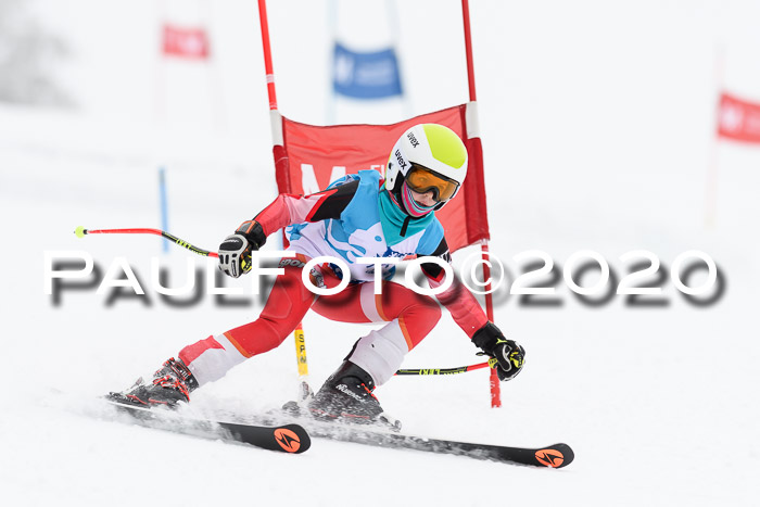 Sechzger Pokal der Skilöwen; U8/U10 Rennserie VRS 11.01.2020