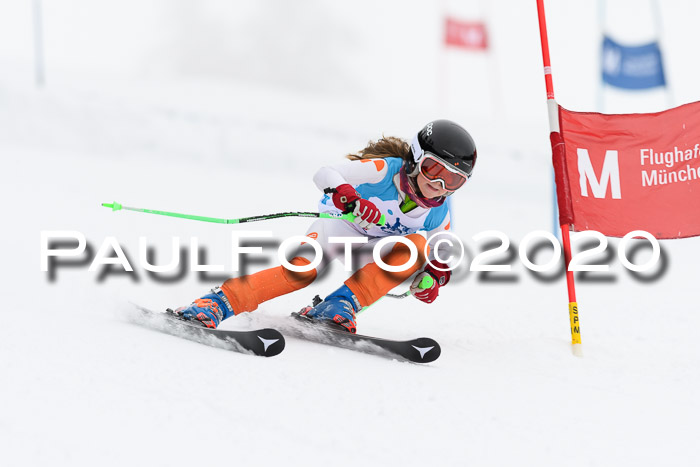 Sechzger Pokal der Skilöwen; U8/U10 Rennserie VRS 11.01.2020