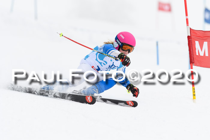 Sechzger Pokal der Skilöwen; U8/U10 Rennserie VRS 11.01.2020