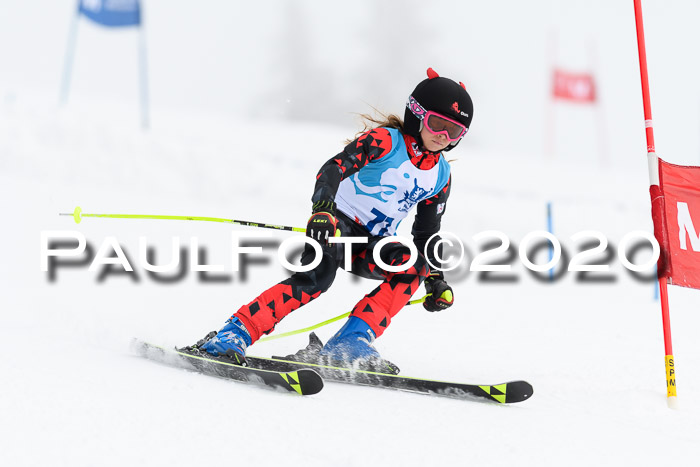 Sechzger Pokal der Skilöwen; U8/U10 Rennserie VRS 11.01.2020