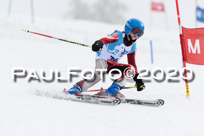 Sechzger Pokal der Skilöwen; U8/U10 Rennserie VRS 11.01.2020
