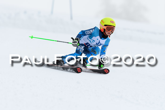 Sechzger Pokal der Skilöwen; U8/U10 Rennserie VRS 11.01.2020