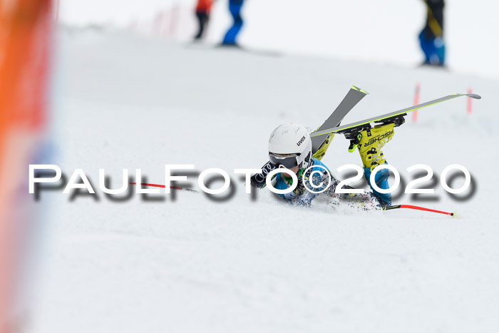 Sechzger Pokal der Skilöwen; U8/U10 Rennserie VRS 11.01.2020