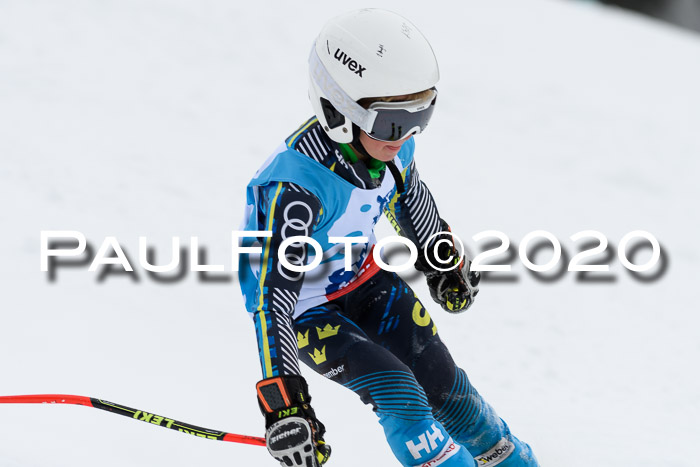 Sechzger Pokal der Skilöwen; U8/U10 Rennserie VRS 11.01.2020