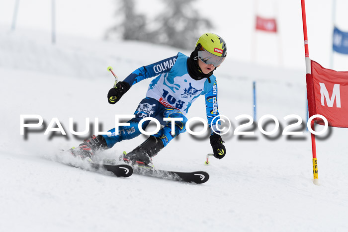 Sechzger Pokal der Skilöwen; U8/U10 Rennserie VRS 11.01.2020