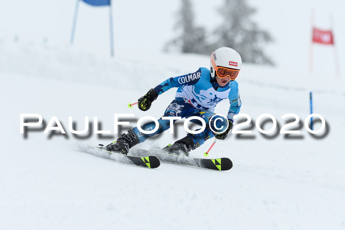 Sechzger Pokal der Skilöwen; U8/U10 Rennserie VRS 11.01.2020