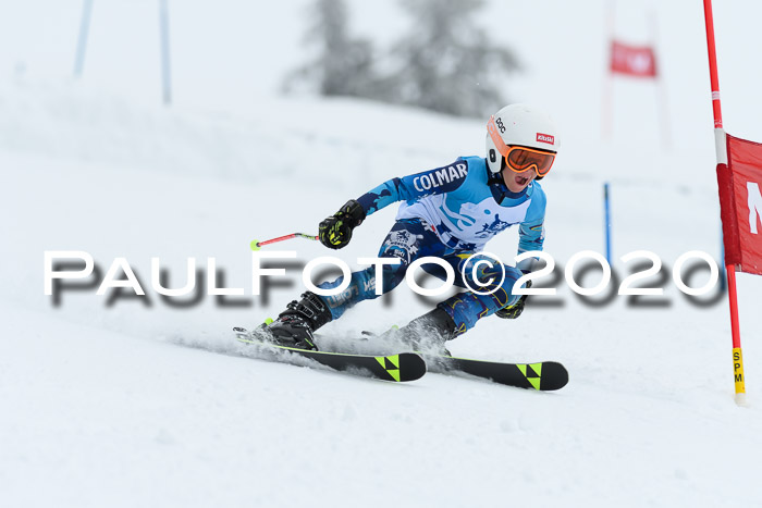 Sechzger Pokal der Skilöwen; U8/U10 Rennserie VRS 11.01.2020