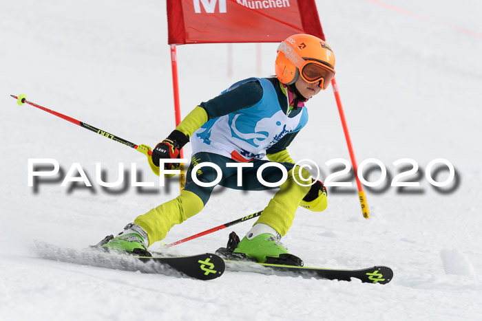 Sechzger Pokal der Skilöwen; U8/U10 Rennserie VRS 11.01.2020