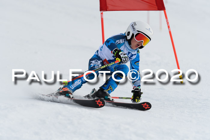 Sechzger Pokal der Skilöwen; U8/U10 Rennserie VRS 11.01.2020
