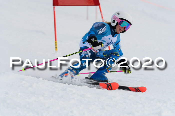 Sechzger Pokal der Skilöwen; U8/U10 Rennserie VRS 11.01.2020