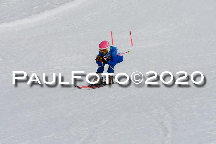 Sechzger Pokal der Skilöwen; U8/U10 Rennserie VRS 11.01.2020