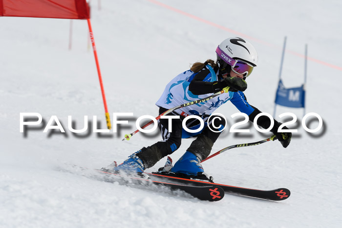 Sechzger Pokal der Skilöwen; U8/U10 Rennserie VRS 11.01.2020