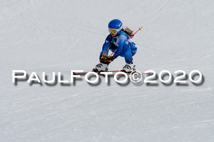 Sechzger Pokal der Skilöwen; U8/U10 Rennserie VRS 11.01.2020