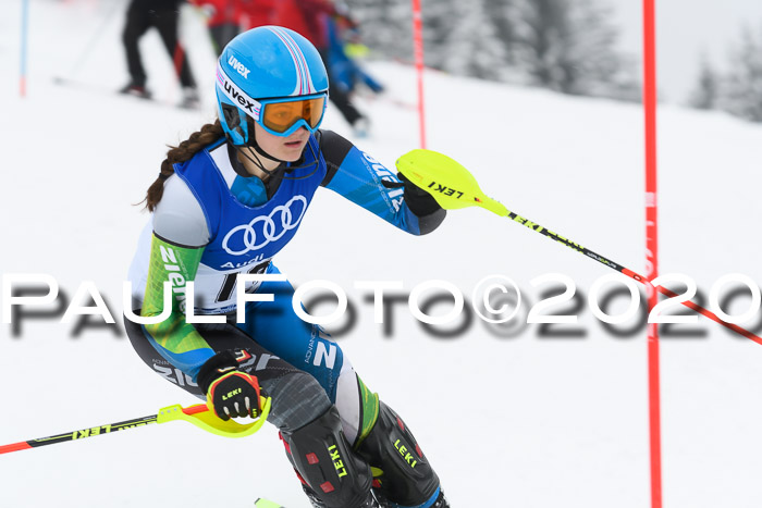 BSV Skiliga Bayern Schüler II SL 19.01.2020