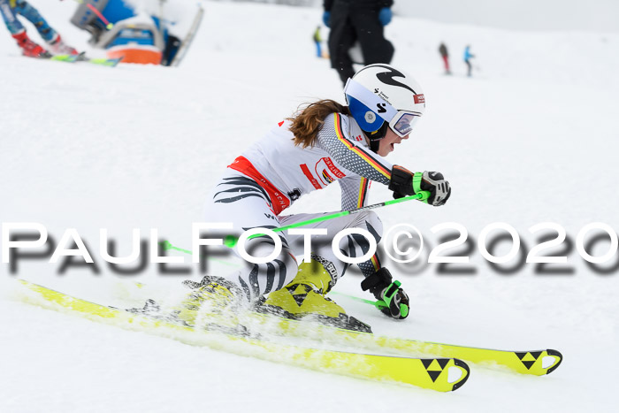 DSV Schülercup U14 VI PSL 19.01.2020