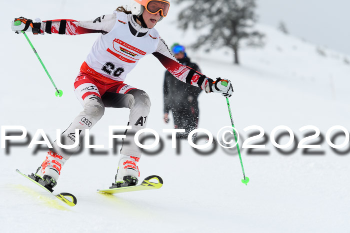 DSV Schülercup U14 VI PSL 19.01.2020