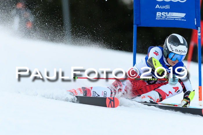 FIS Riesenslalom, ATA; Bay. Meisterschaft, Damen + Herren, 24.01.2020