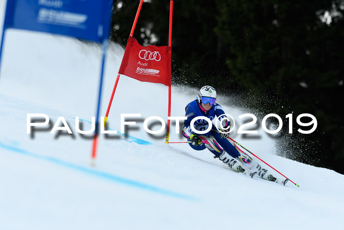 FIS Riesenslalom, ATA; Bay. Meisterschaft, Damen + Herren, 24.01.2020