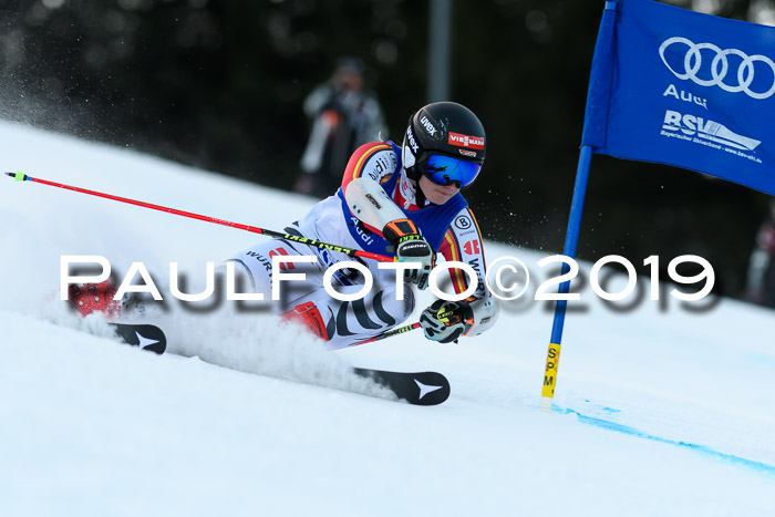 FIS Riesenslalom, ATA; Bay. Meisterschaft, Damen + Herren, 24.01.2020