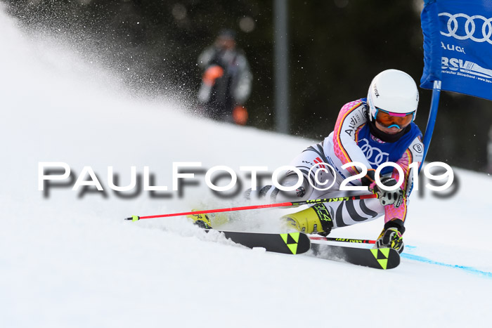 FIS Riesenslalom, ATA; Bay. Meisterschaft, Damen + Herren, 24.01.2020