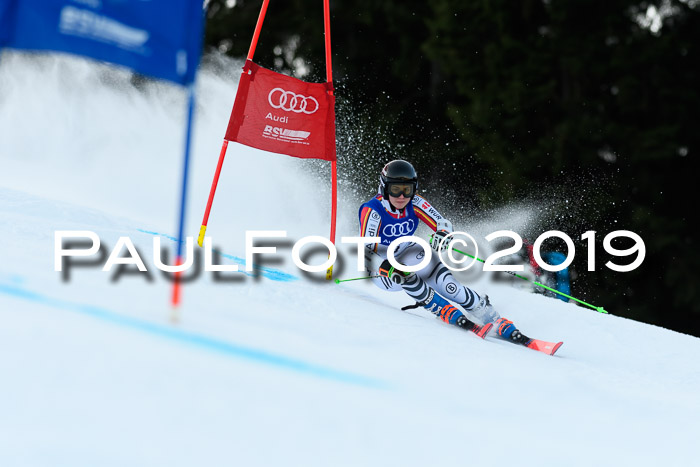 FIS Riesenslalom, ATA; Bay. Meisterschaft, Damen + Herren, 24.01.2020