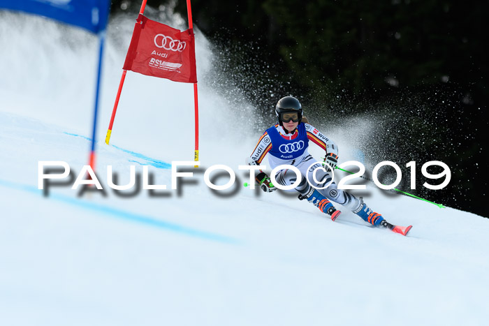 FIS Riesenslalom, ATA; Bay. Meisterschaft, Damen + Herren, 24.01.2020