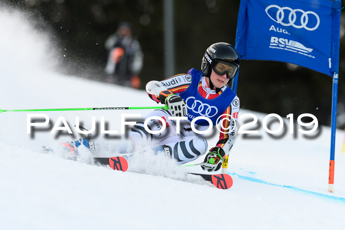 FIS Riesenslalom, ATA; Bay. Meisterschaft, Damen + Herren, 24.01.2020