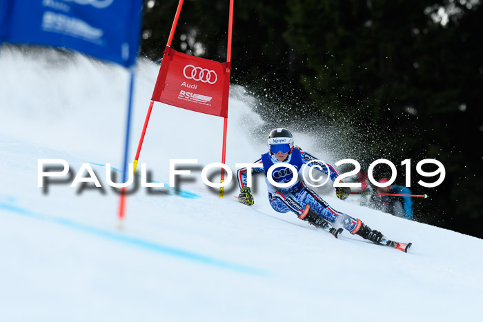 FIS Riesenslalom, ATA; Bay. Meisterschaft, Damen + Herren, 24.01.2020