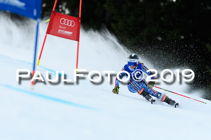 FIS Riesenslalom, ATA; Bay. Meisterschaft, Damen + Herren, 24.01.2020