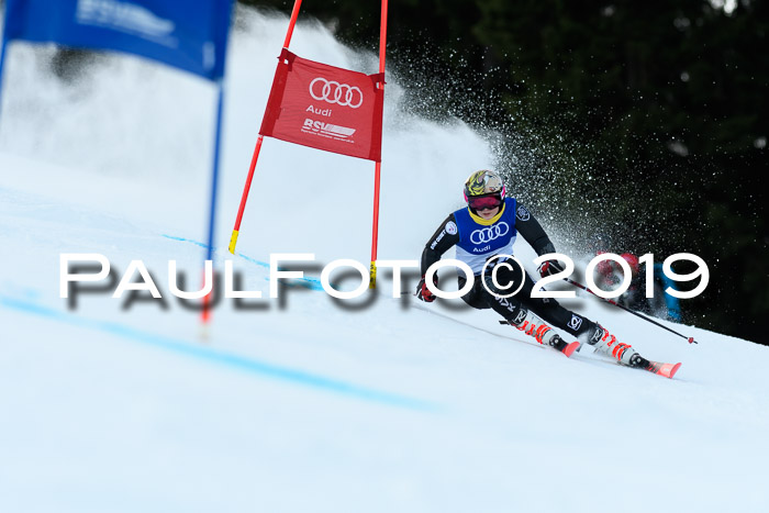 FIS Riesenslalom, ATA; Bay. Meisterschaft, Damen + Herren, 24.01.2020